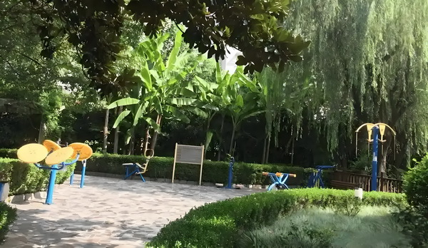 外地人积分落户深圳_姜文被困在一个什么东西里 姜文被困政府信任群众